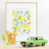 Norev 1:18 Renault 12 TS 1973 Light Green. Levering januari_